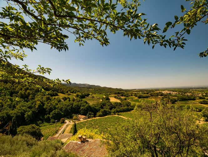 Wonderful view in Séguret