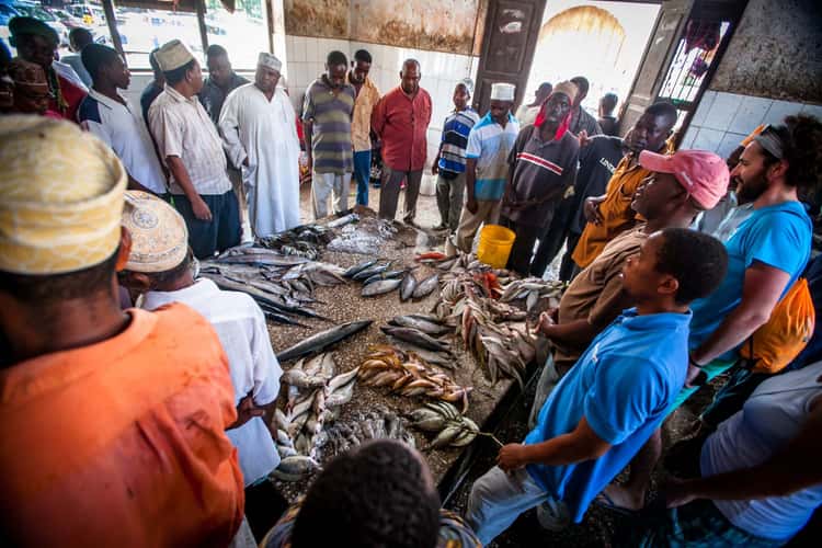 Zanzibar Stonetown Fish Market