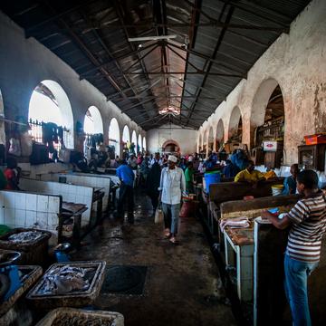 Zanzibar Stonetown Fish Market, Tanzania