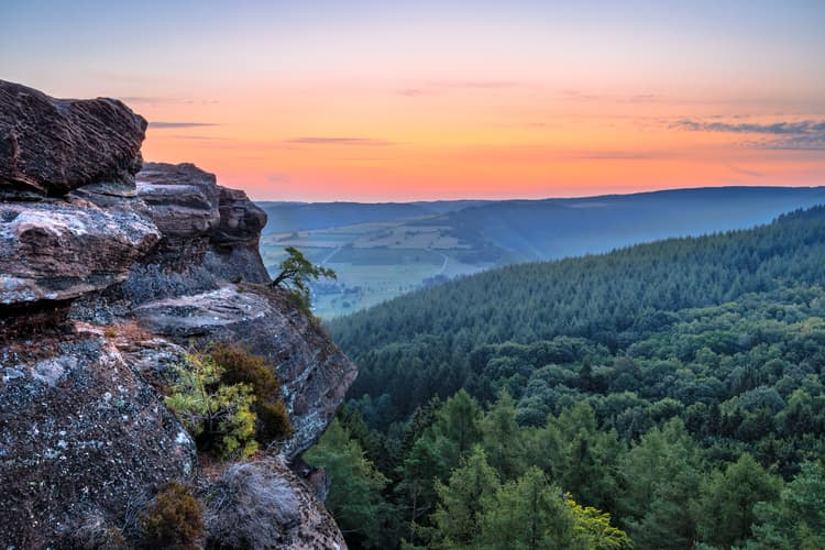 Altfels
