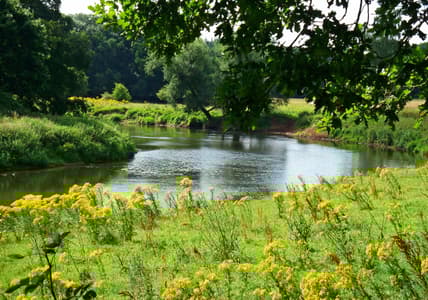 an der Ems