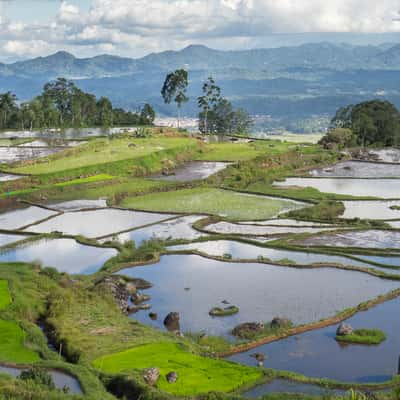 Batutumonga, Indonesia