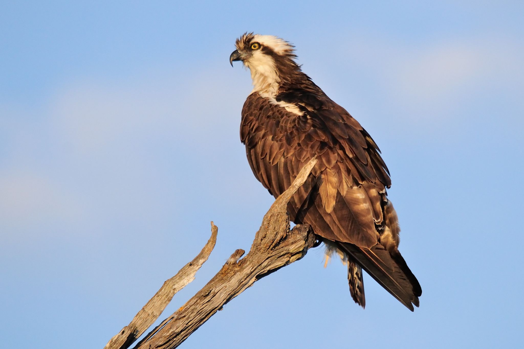 Bayou Nature Center, USA