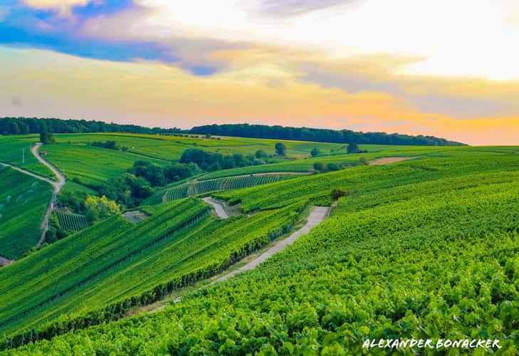 The view from Vogelsburg in Bavaria