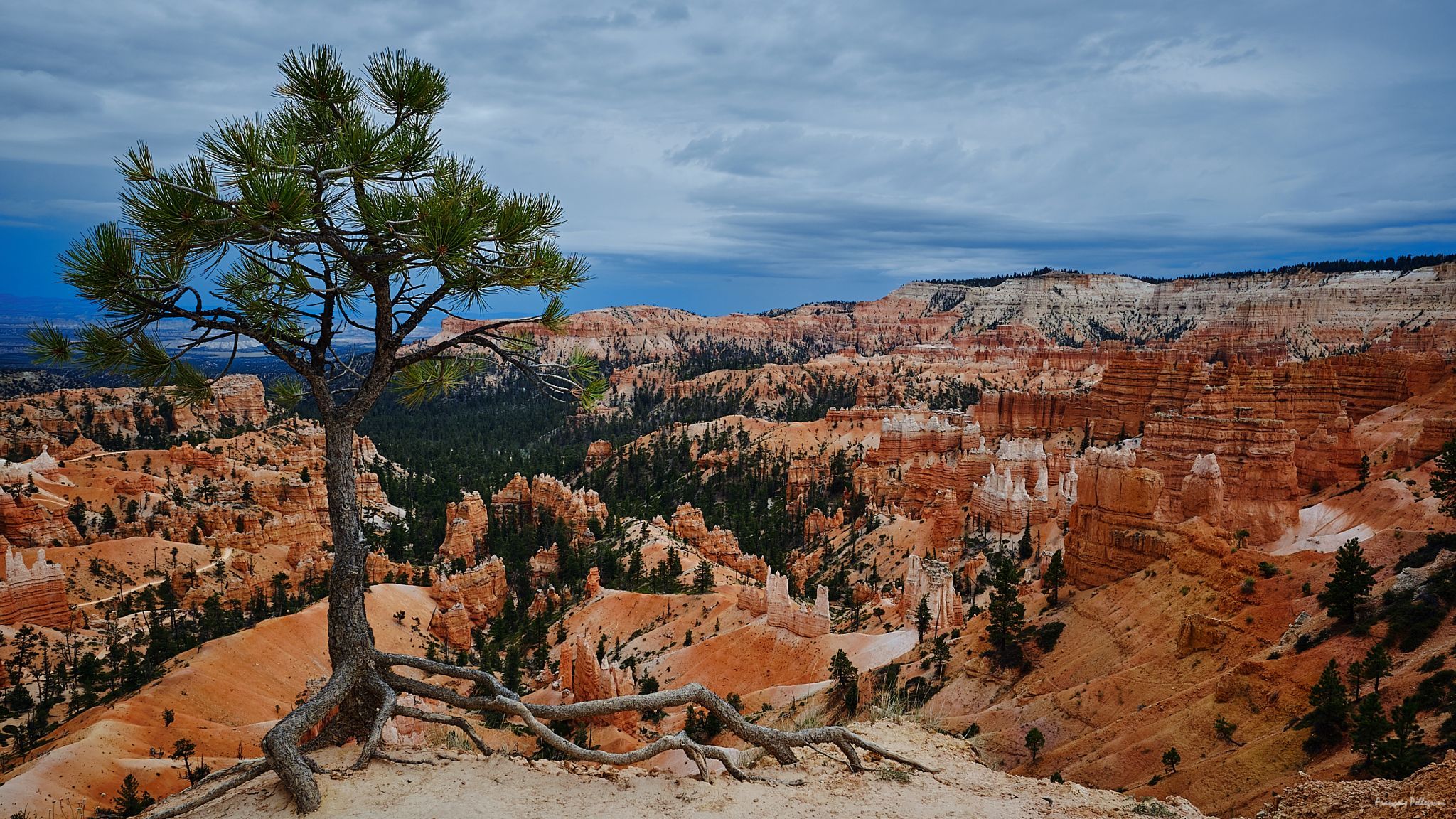 Bryce Canyon, USA