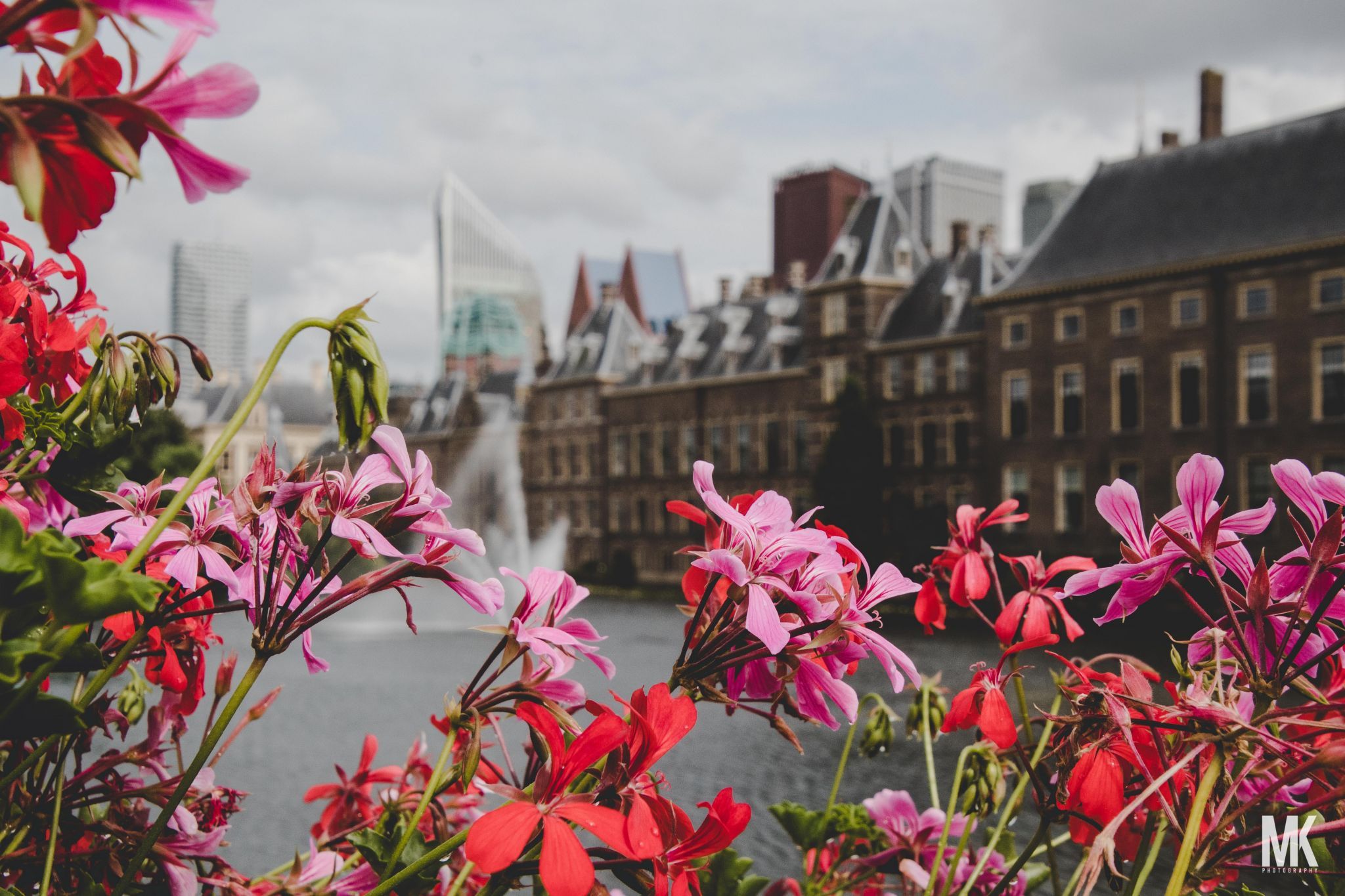 Buitenhof - The Hague, Netherlands