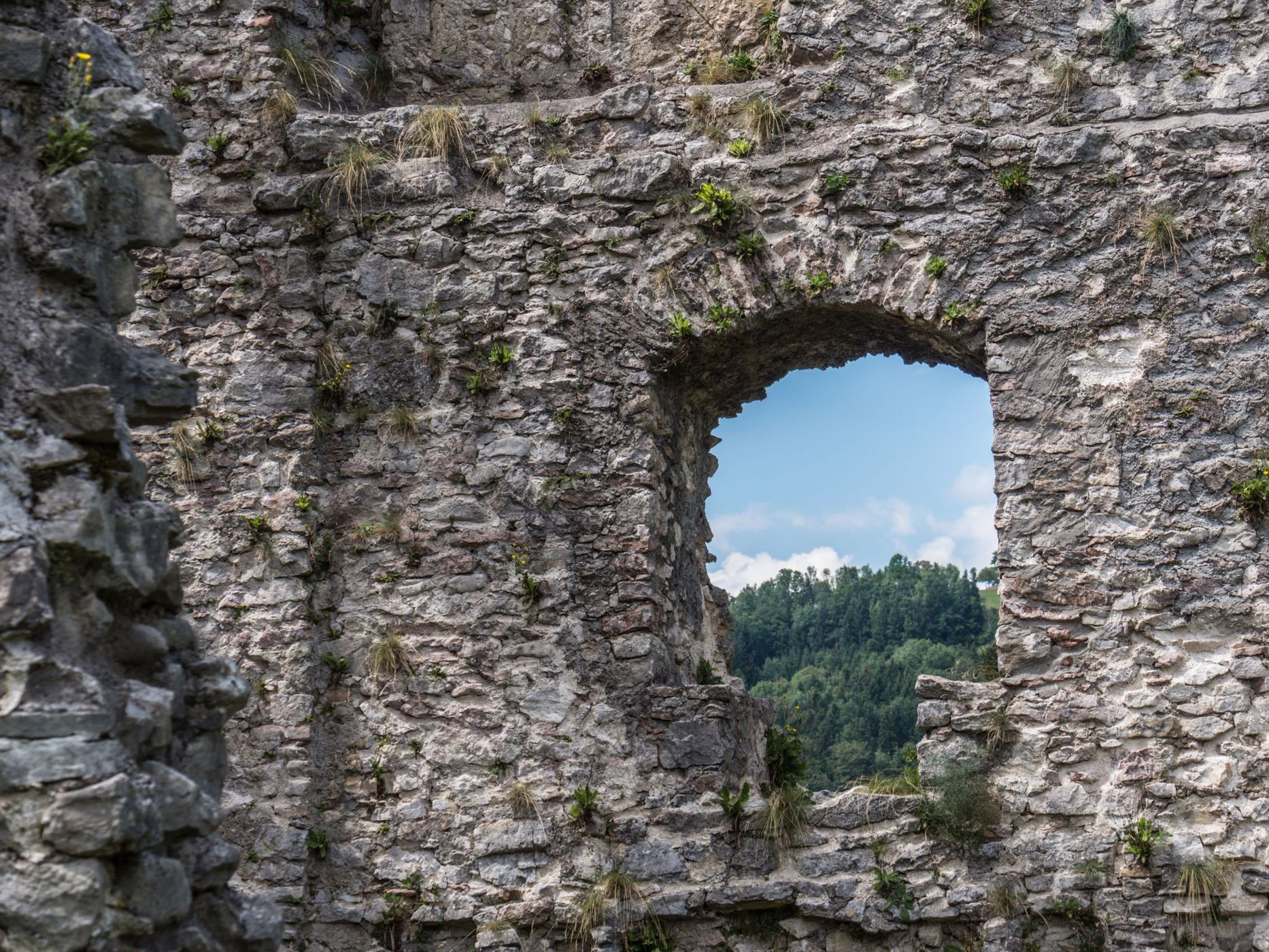 Burgruine Losenstein, Austria