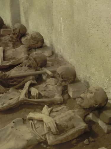 Capuchin Crypt