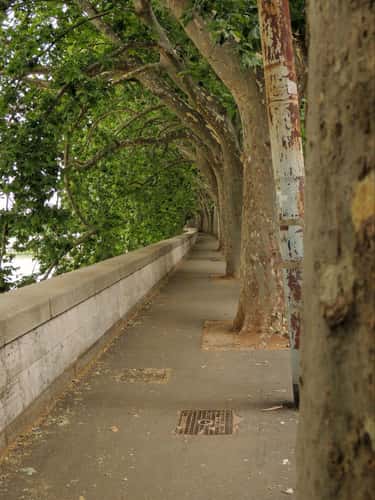 Castle Sant'Angelo, Rome