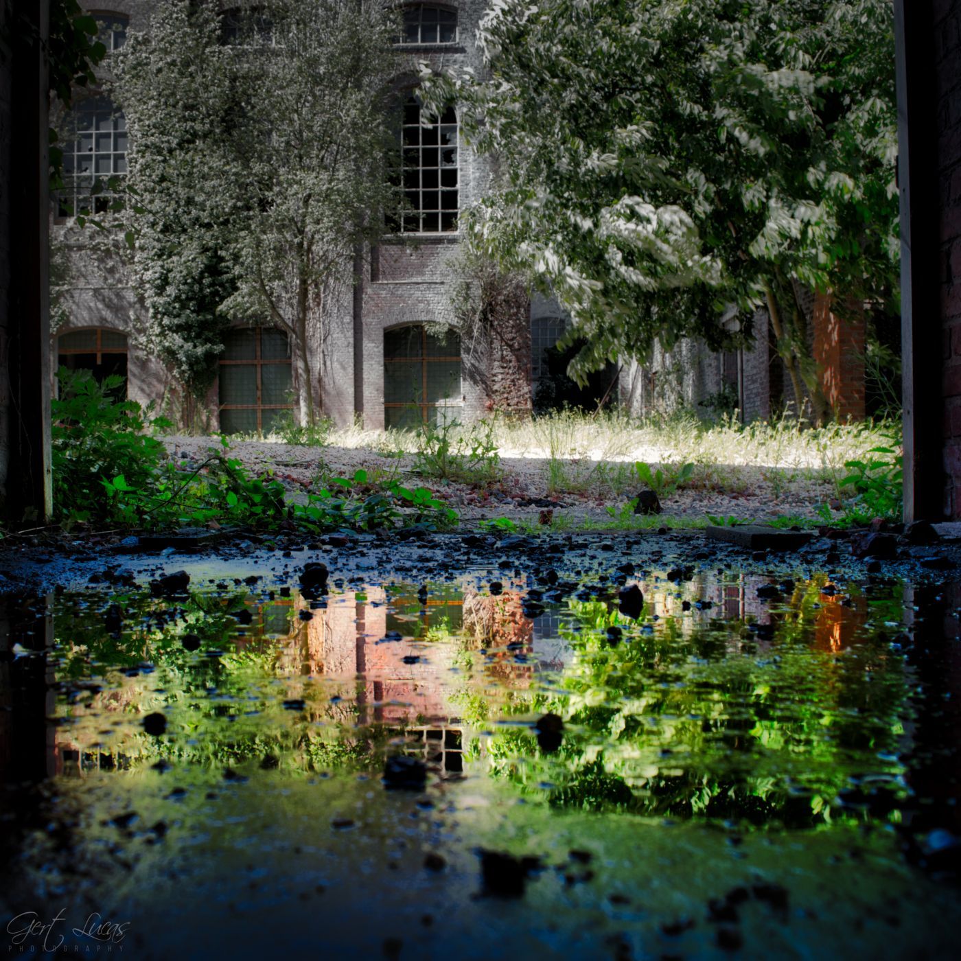 Catala - Lost place, Belgium