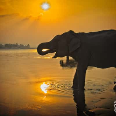 Chitwan national park Nepal, Nepal