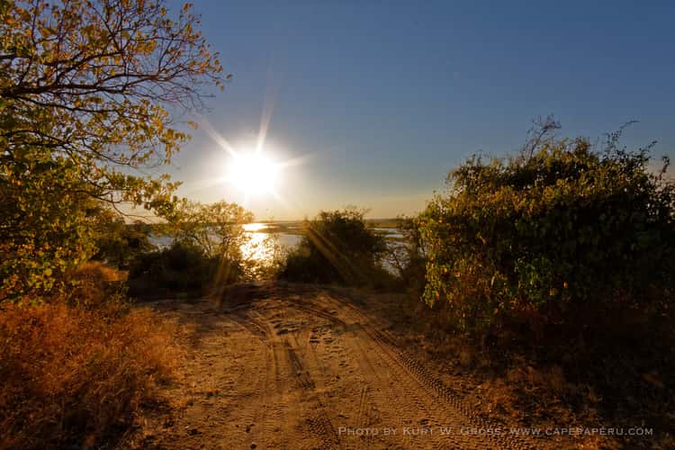 Chobe Nationalpark, Sambesi river, Botswana