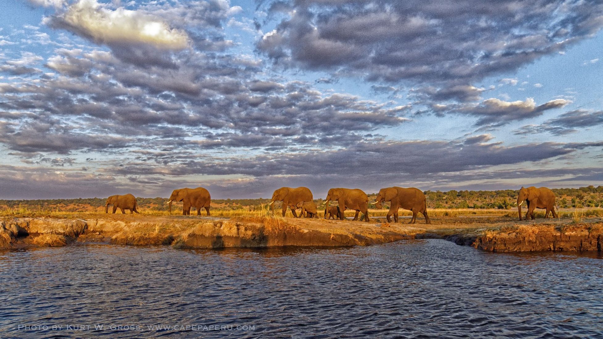 Chobe Nationalpark Sambesi River Botswana Botswana Chobe Nationalpark Sambesi River Botswana Botswana