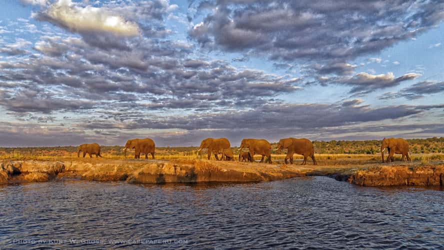 Chobe Nationalpark, Sambesi river, Botswana