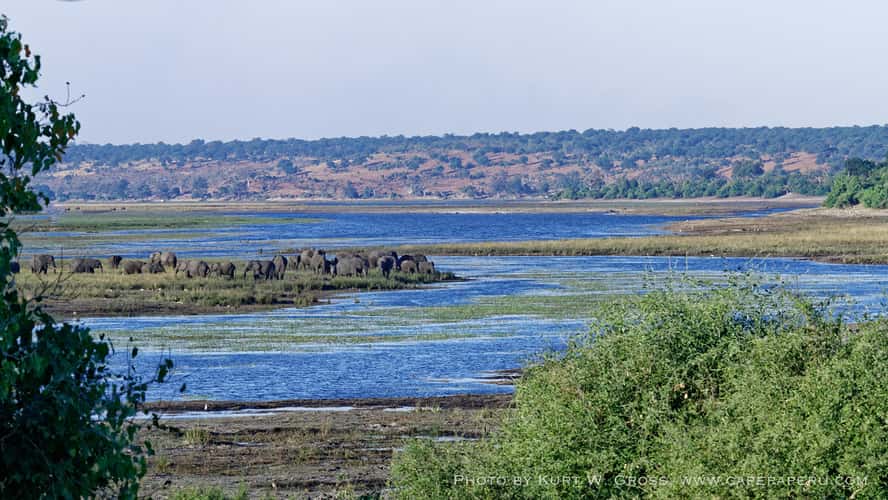 Chobe Nationalpark, Sambesi river, Botswana