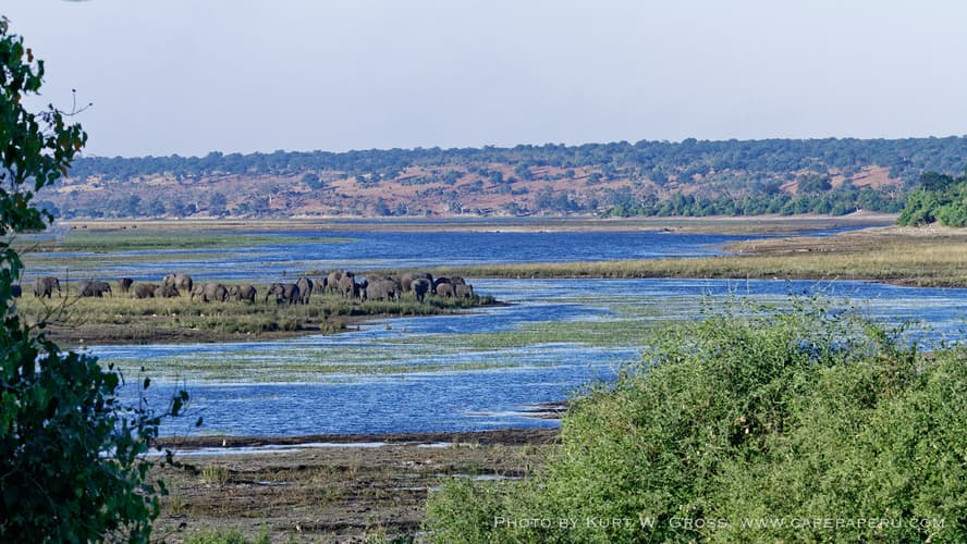 Chobe Nationalpark, Sambesi river, Botswana
