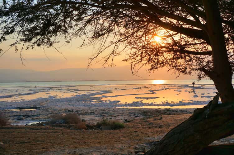 Dead Sea