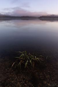 Early morning at Lake Lanthe, New Zealand