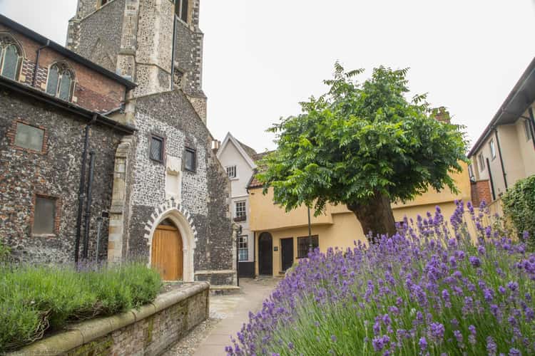 Elm Hill, Norwich
