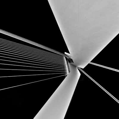 Erasmus Bridge / Erasmusbrug, Netherlands