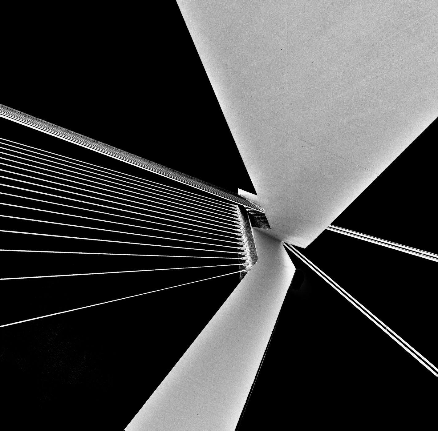 Erasmus Bridge / Erasmusbrug, Netherlands
