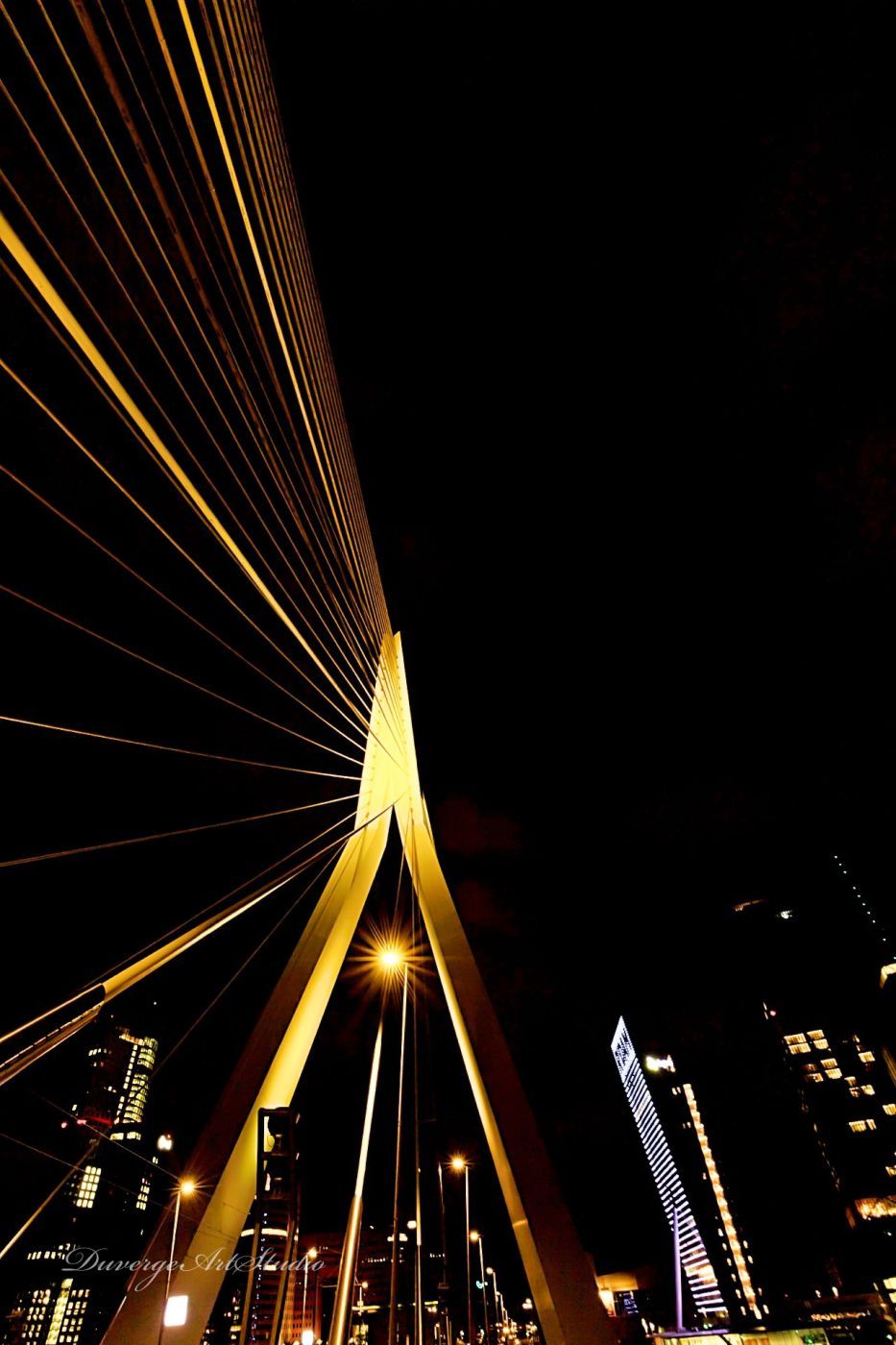 Erasmus Bridge (south view), Rotterdam, Netherlands