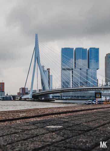 Erasmus Bridge, Rotterdam