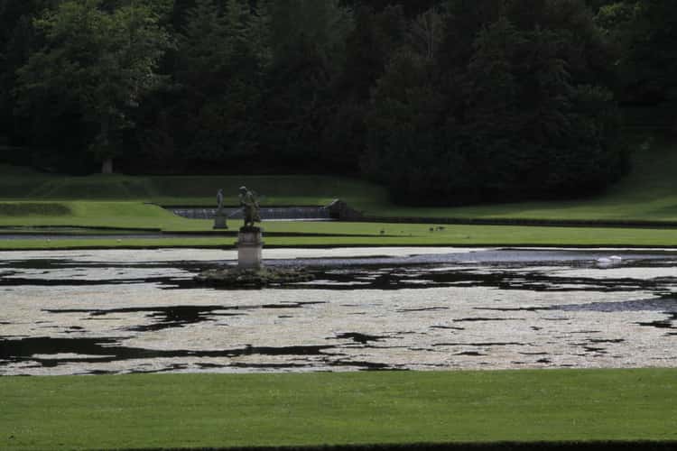 Fountains Abbey