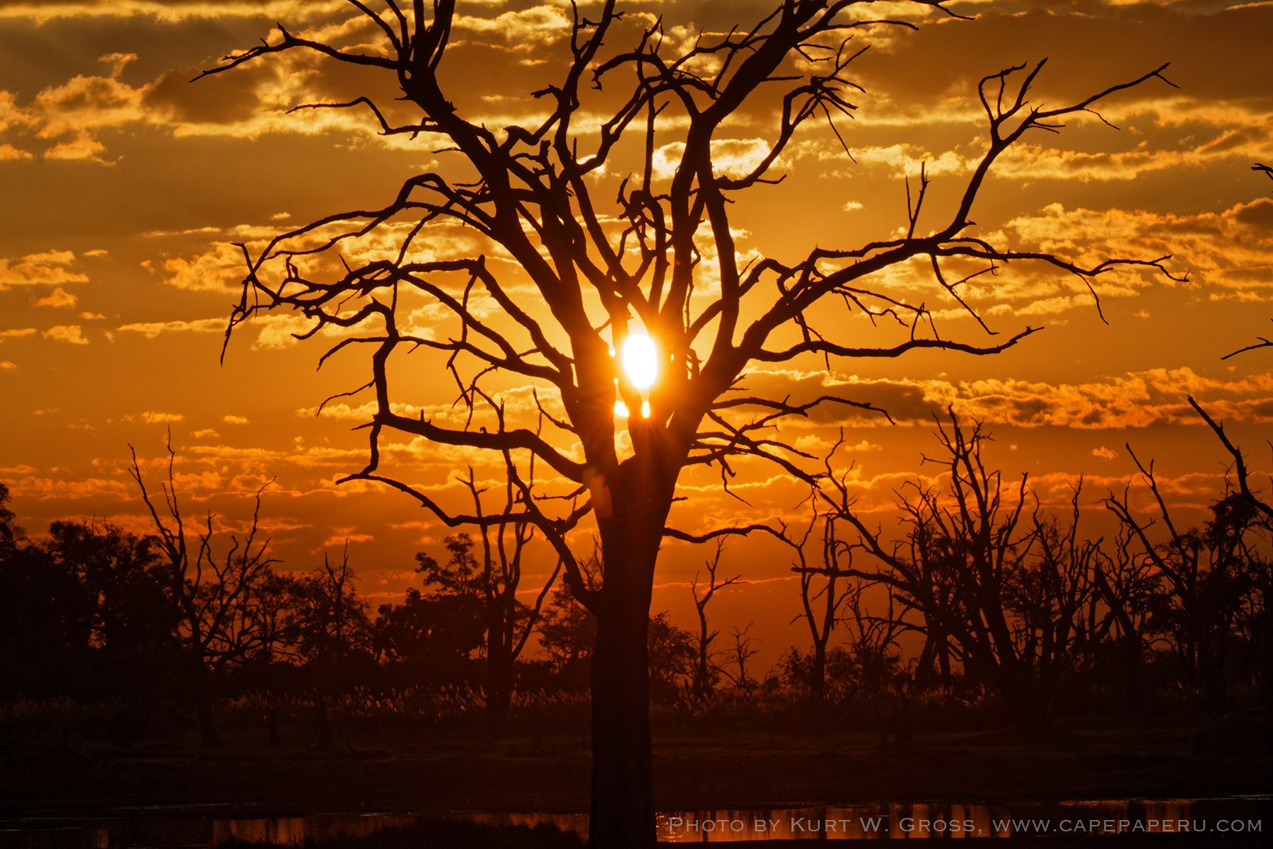 Gamedrive Xakanaxa camp, Botswana