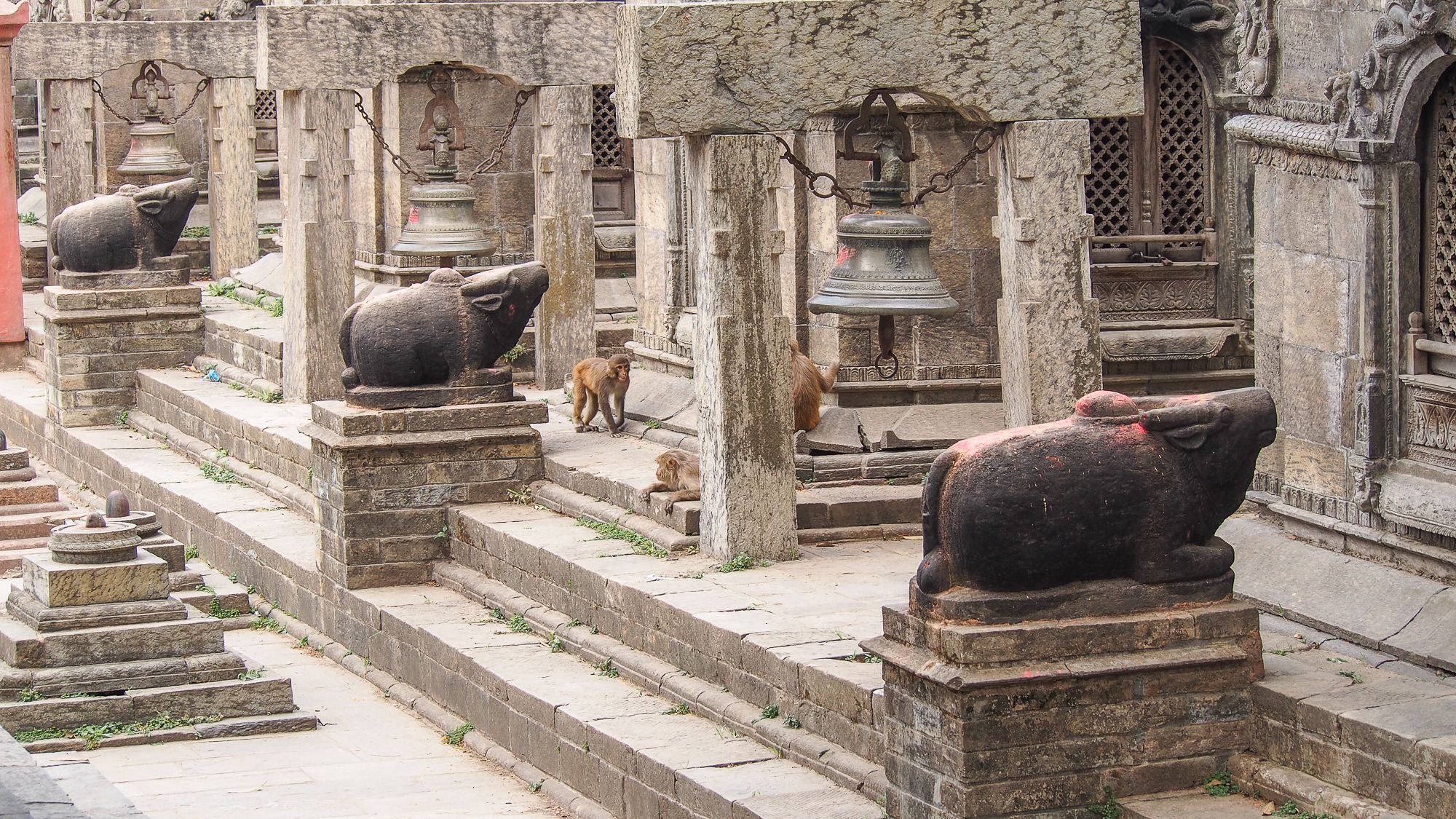 Gorakhnath at Pashupatinath, Nepal