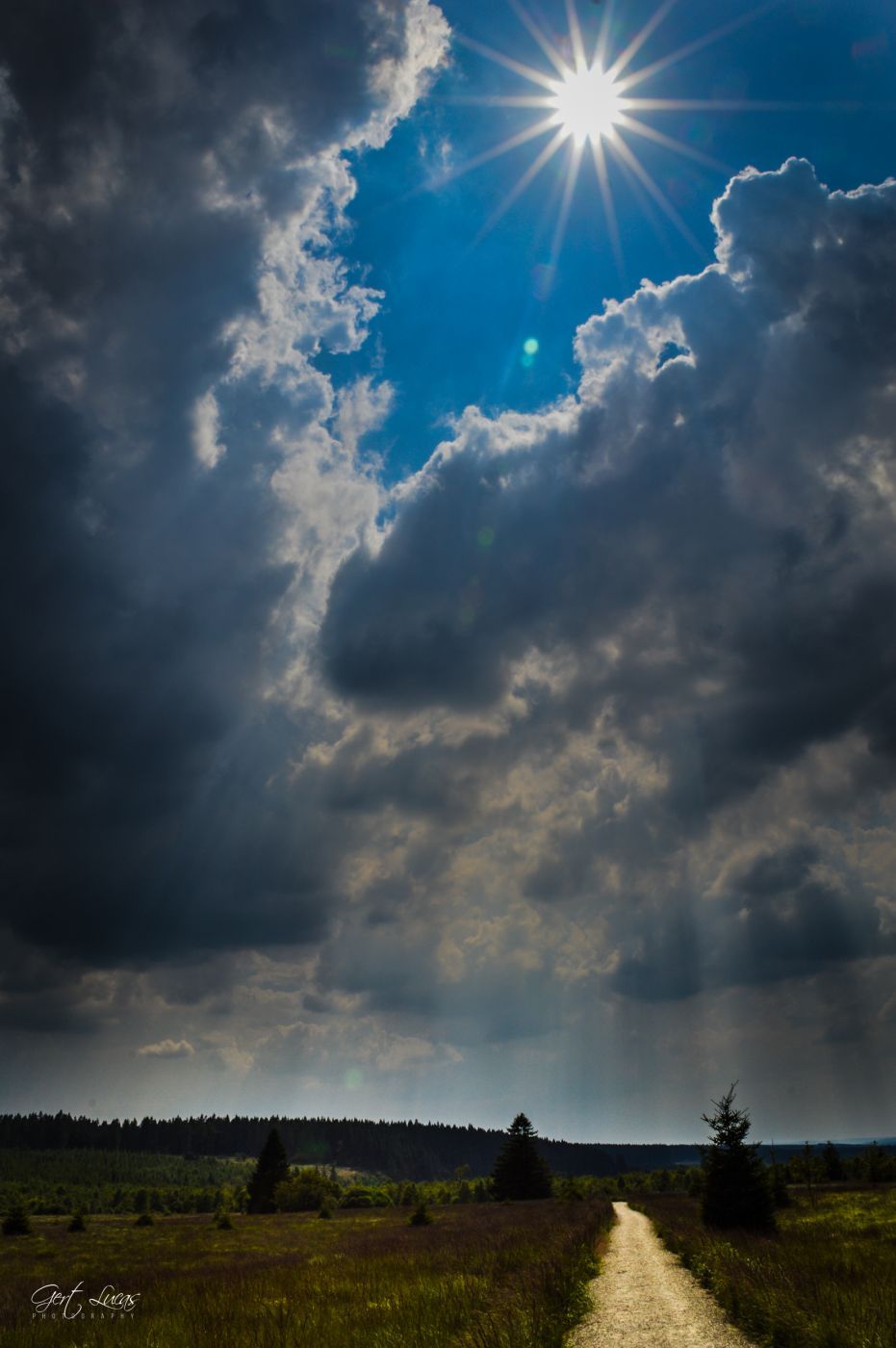 Hautes Fagnes, Belgium