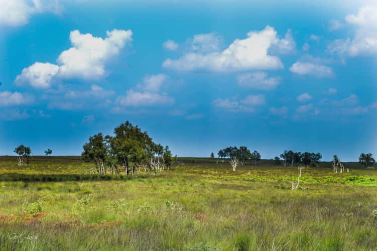 Hautes Fagnes