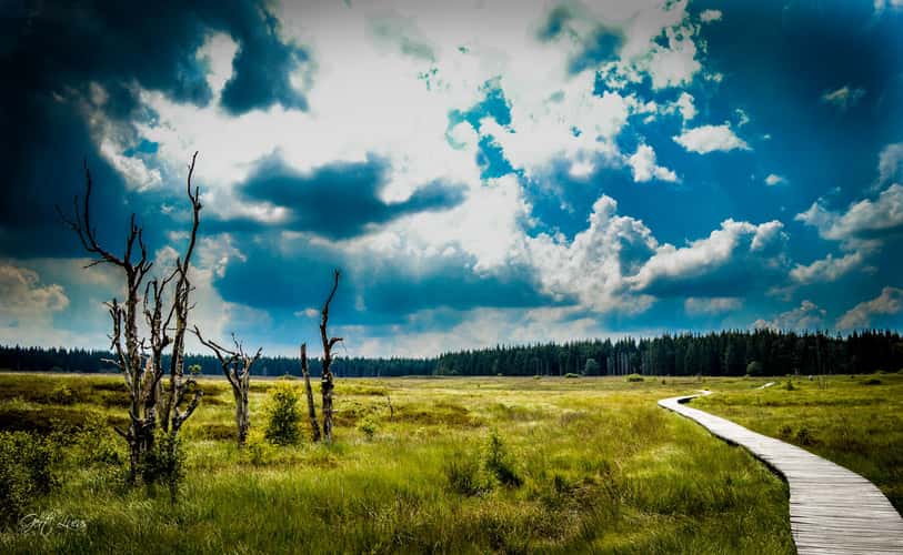 Hautes Fagnes - Hiking trail