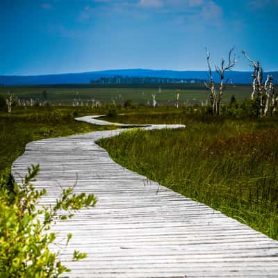 Hautes Fagnes - Hiking trail, Belgium