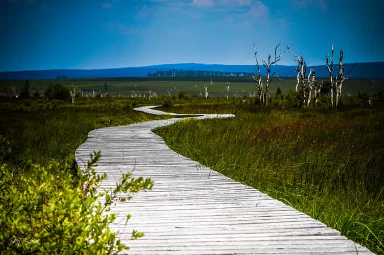 Hautes Fagnes - Hiking trail