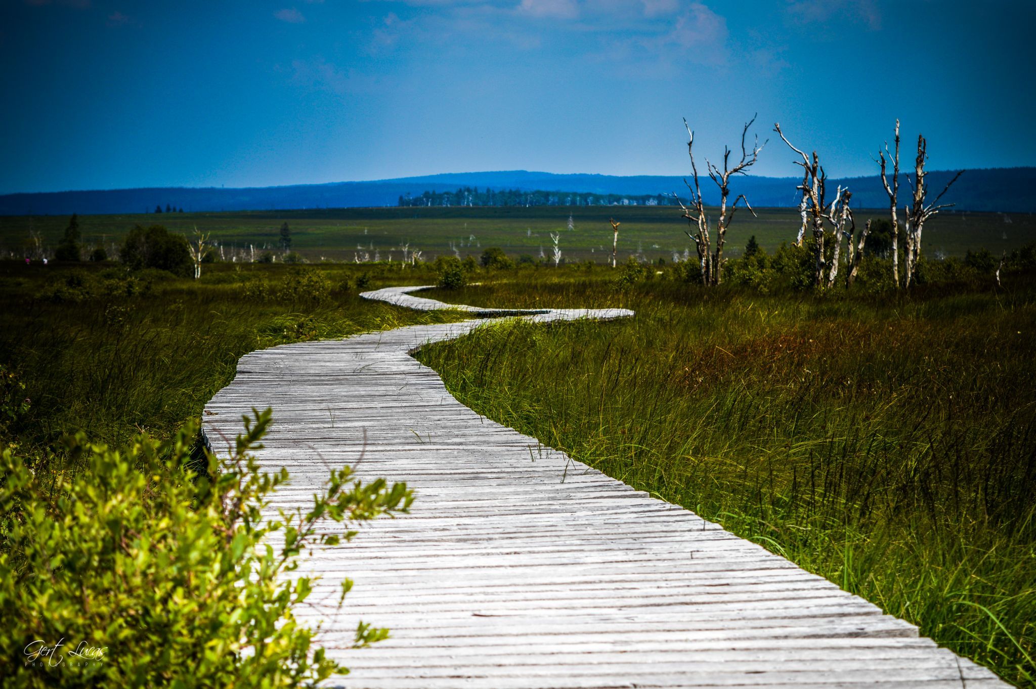 Hautes Fagnes - Hiking trail, Belgium