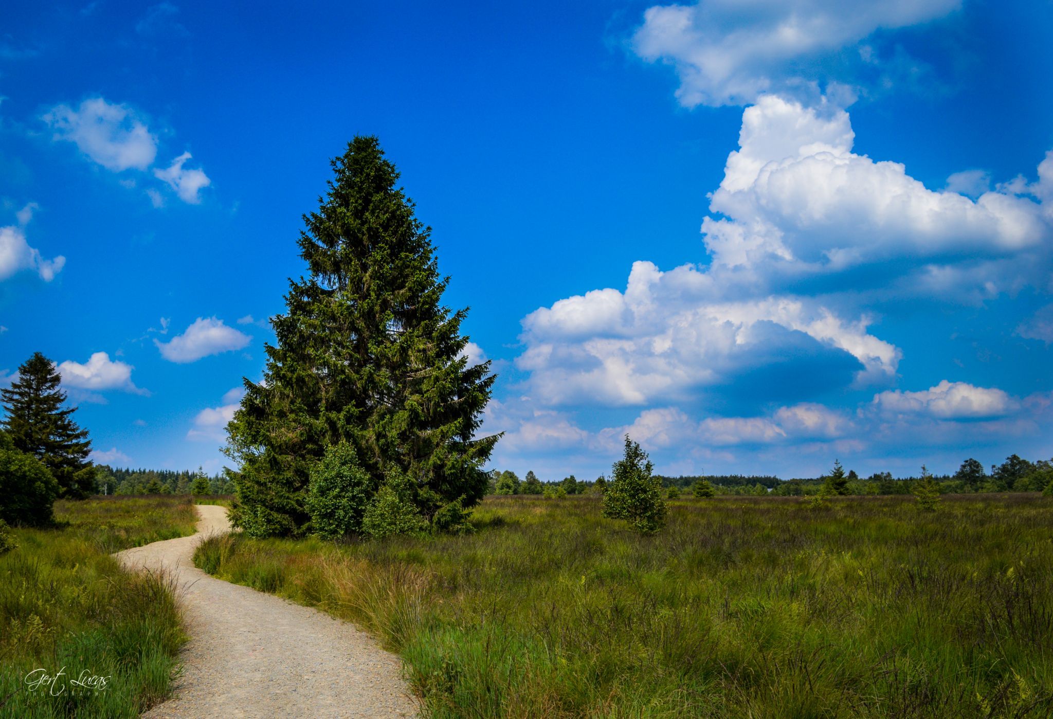 Hautes Fagnes - Hiking trail, Belgium