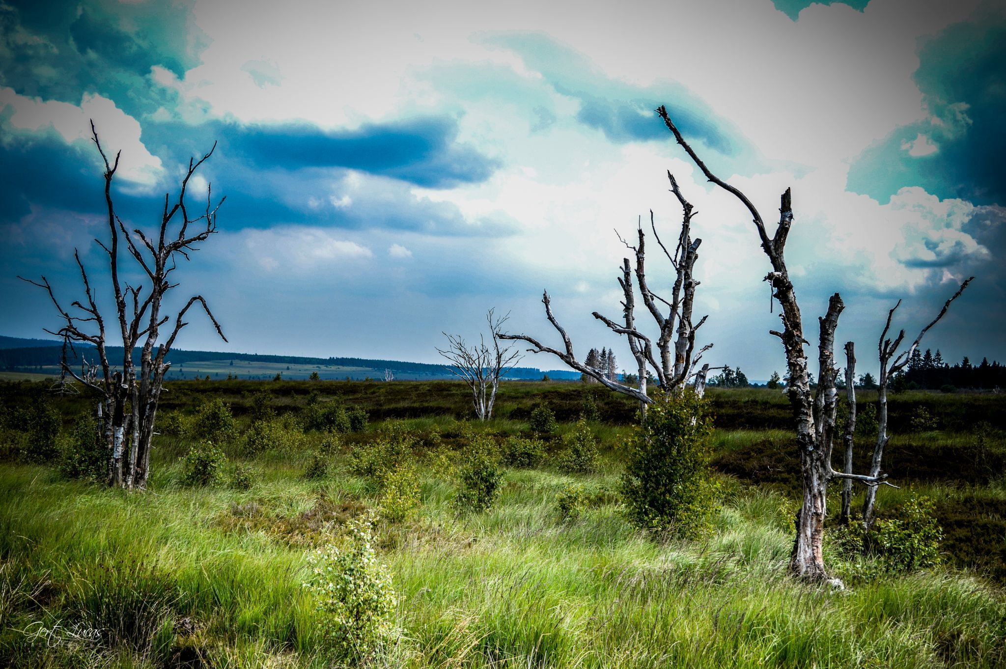 Hautes Fagnes - Hiking trail, Belgium