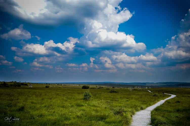 Hautes Fagnes - Hiking trail