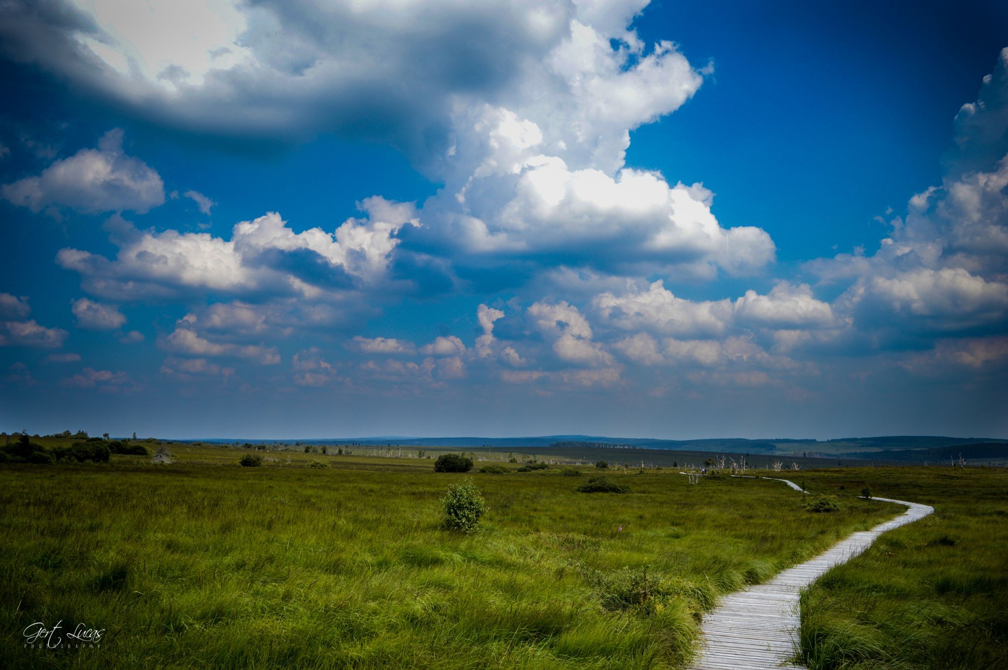 Hautes Fagnes - Hiking trail, Belgium