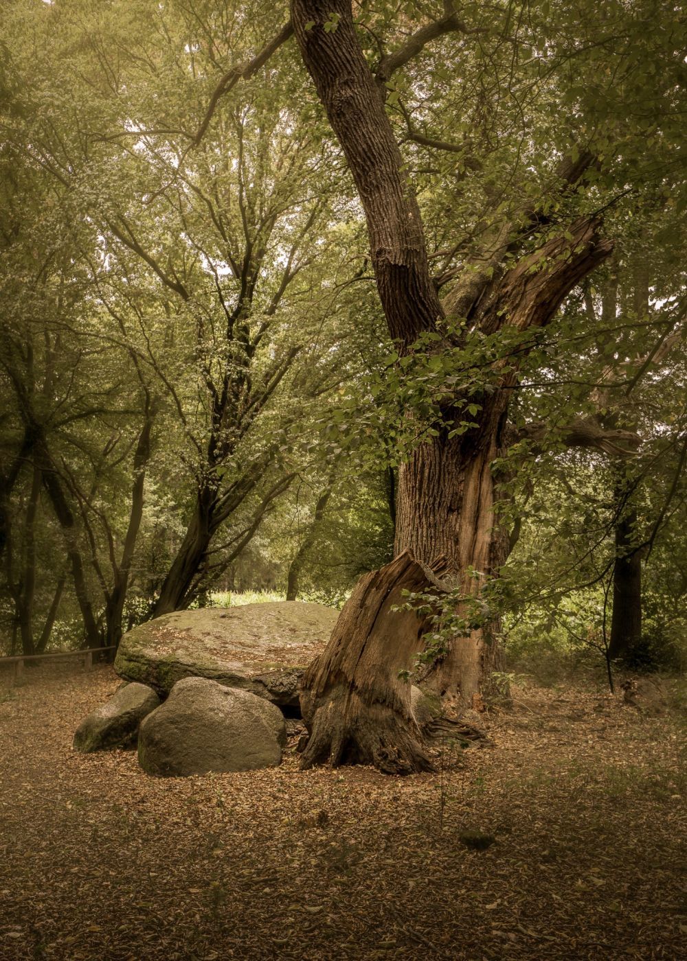 Heidenopfertisch, Germany