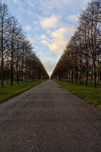 Herrenhäuser Allee, Hanover