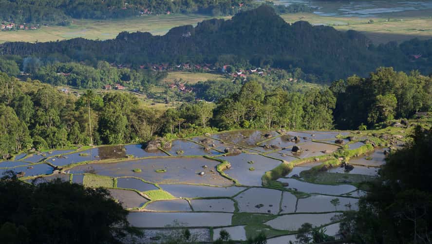 hill near Batutumonga
