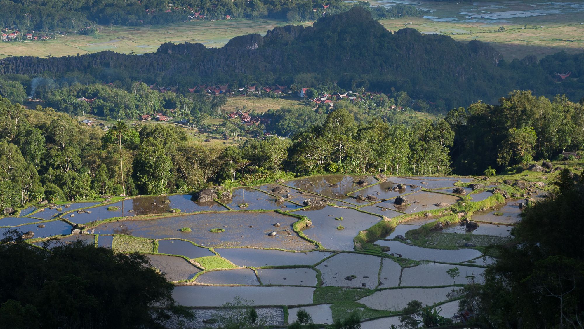hill near Batutumonga, Indonesia