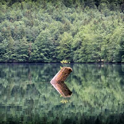 Hinterer Langbathsee, Austria