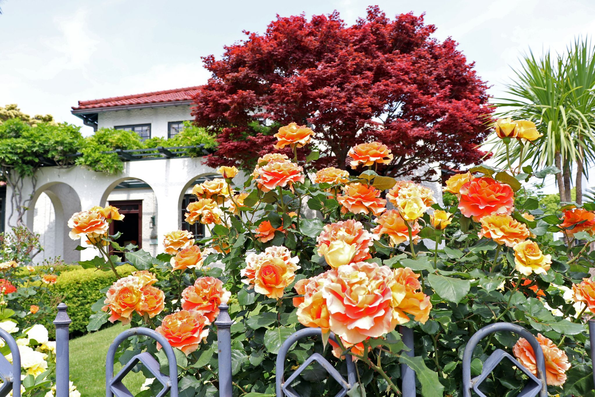 Home of a Diplomat, Gaiko-kan no ie, Japan