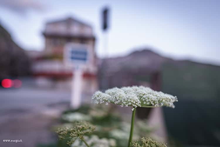 Hotel Belvédère, Furkapass