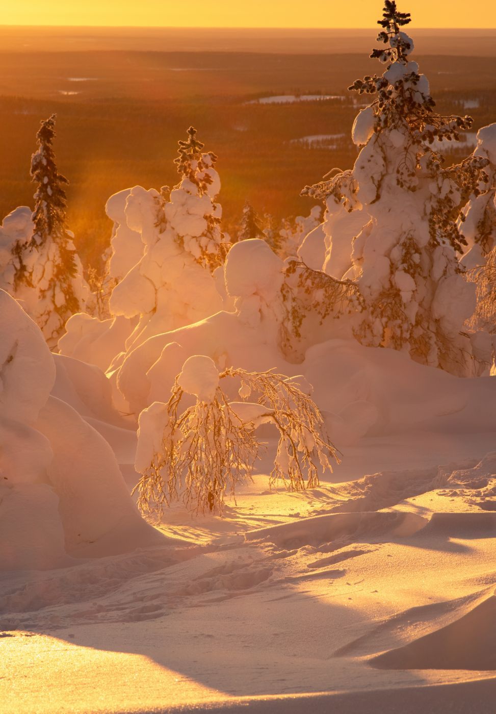 Iso-Syöte, Finland