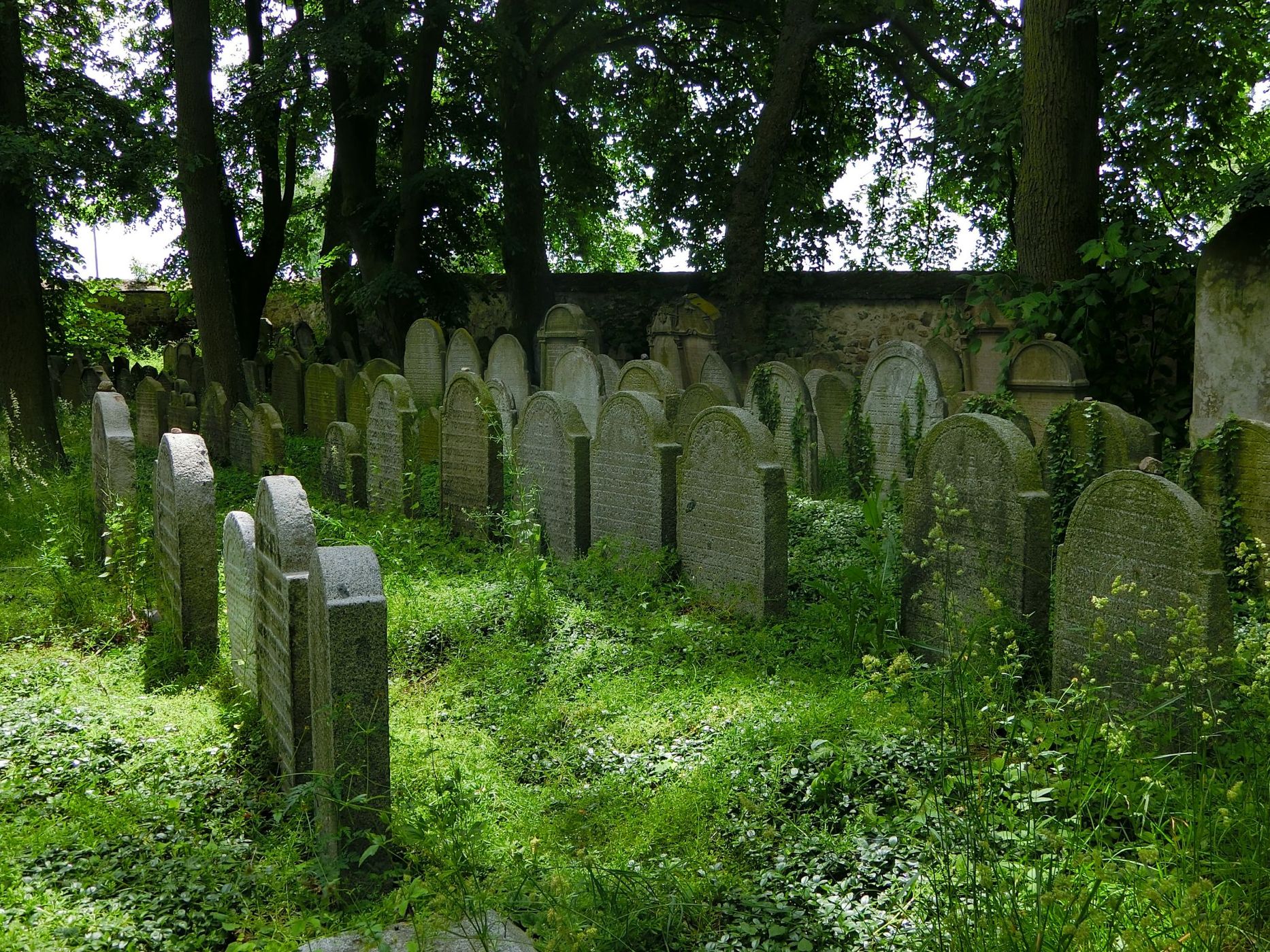 Jewish Cemetery Březnice, Czech Republic