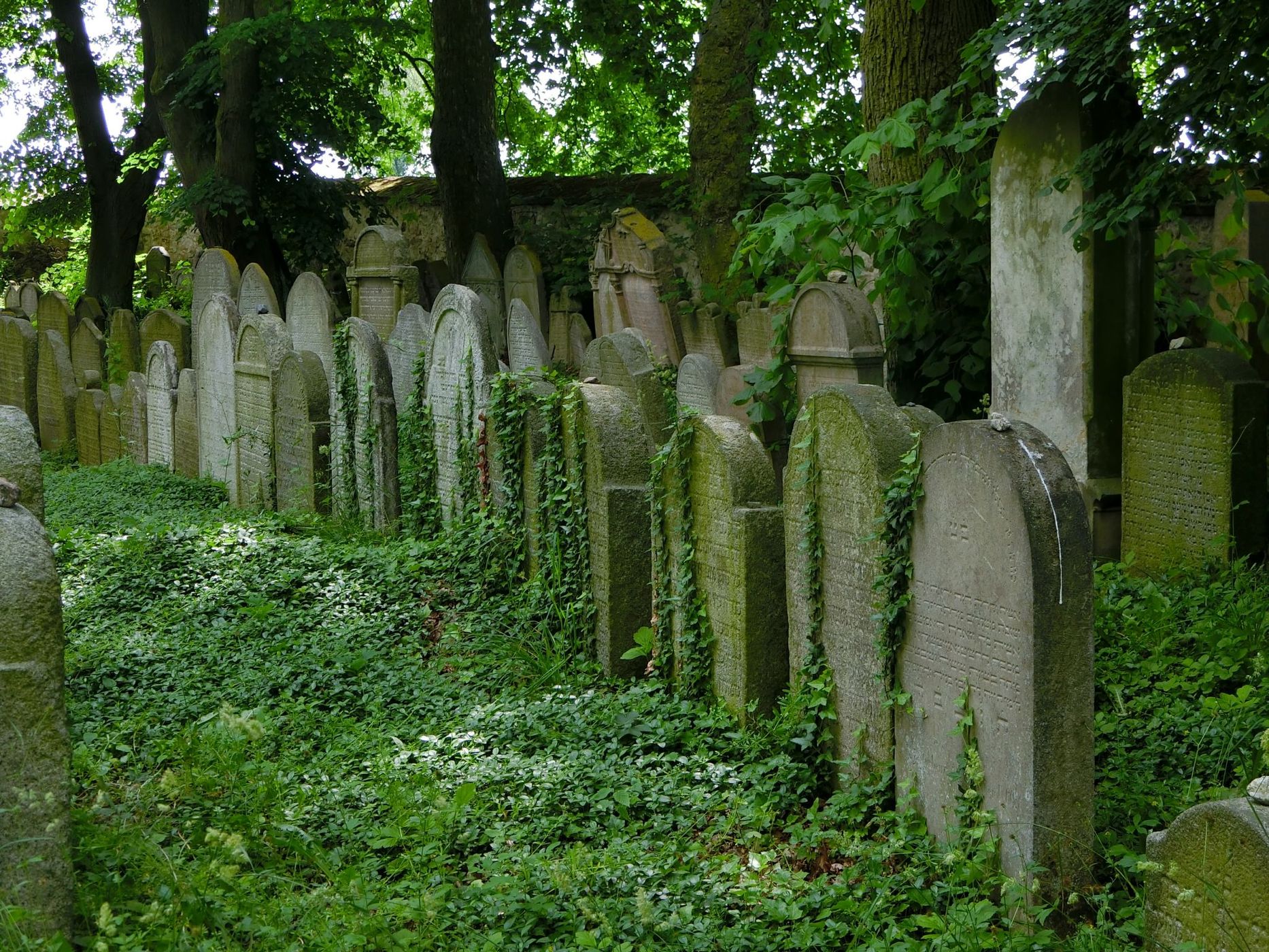 Jewish Cemetery Březnice, Czech Republic